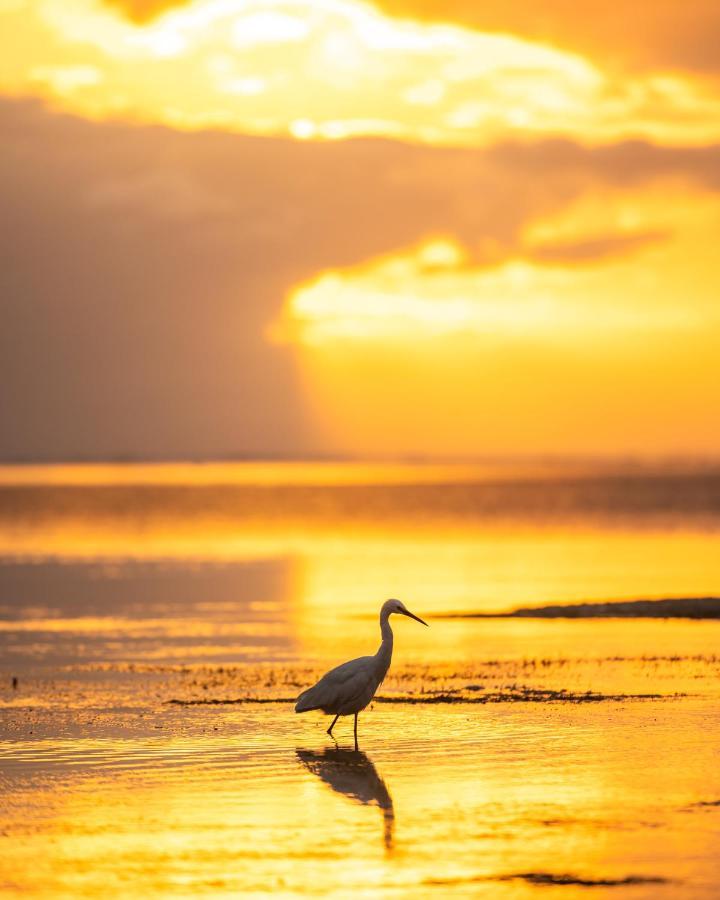 Hakuna Majiwe Beach Lodge Paje Dış mekan fotoğraf