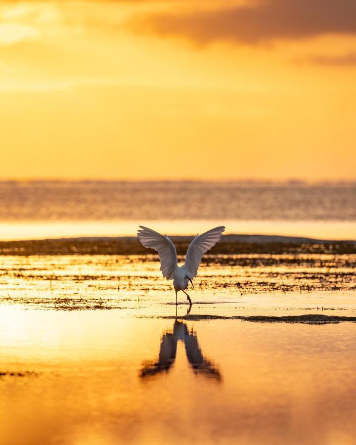 Hakuna Majiwe Beach Lodge Paje Dış mekan fotoğraf